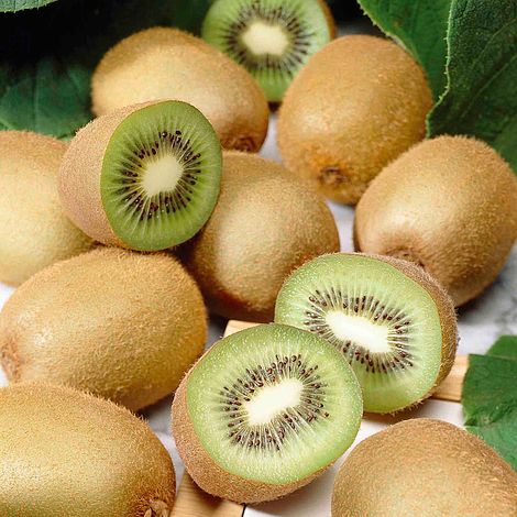Kiwi frutto